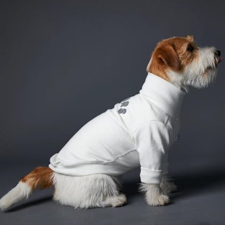 [Striped Dog]  スウェット  クリーム/ブルーグレー