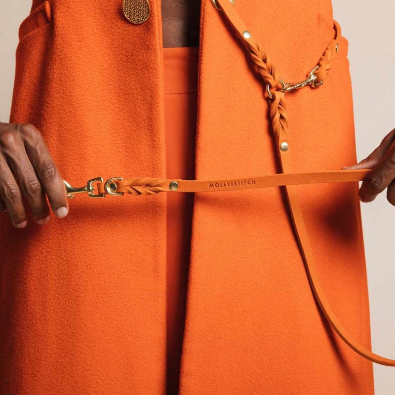 Molly&Stitch] 本革ハンズフリーリード MANGO | モフモフ mof_mof