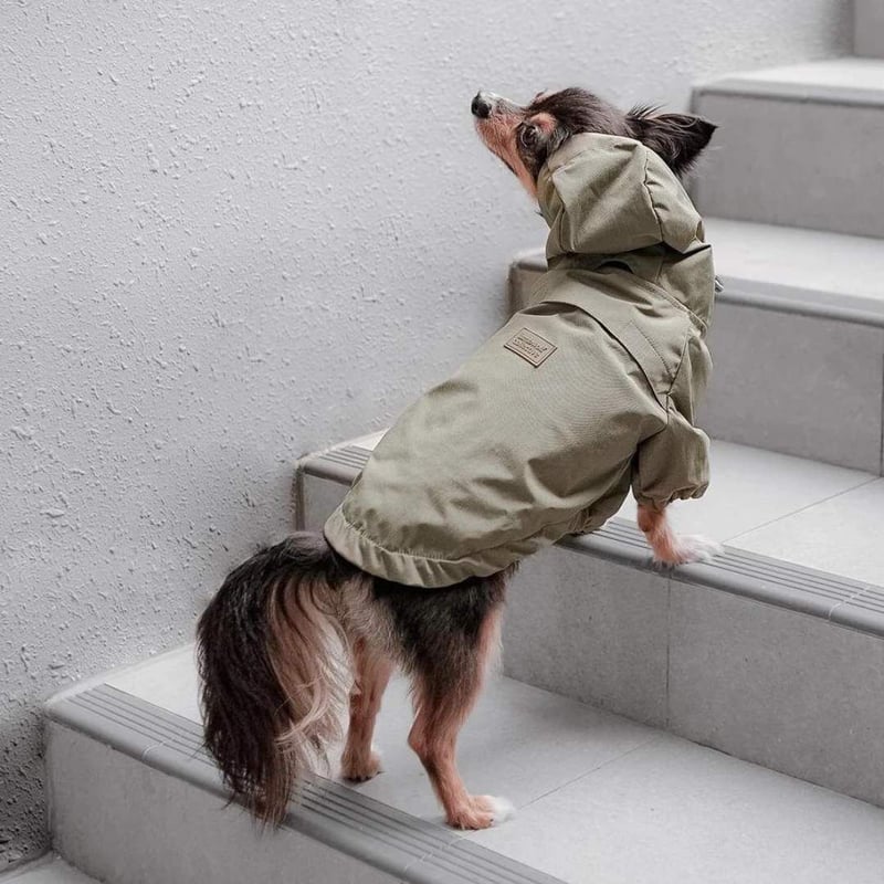 lambwolf] レインコート オリーブ/ピンクベージュ | モフモフ mof_mof