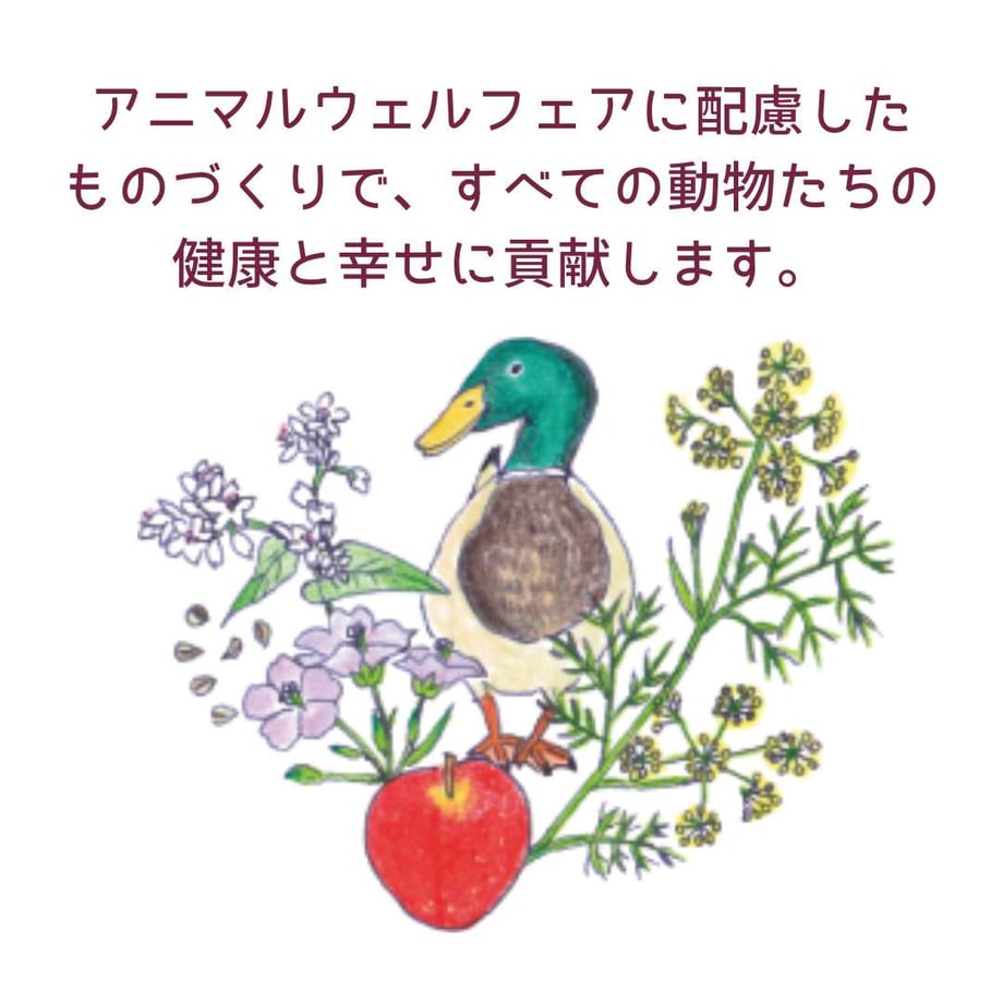 6822c91580c8d82e0ee23678