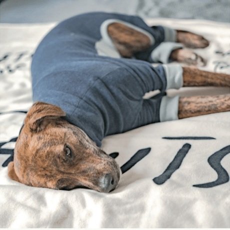 [furryfolks]  High Neck Jumpsuit ネイビー (XSラスト１点）