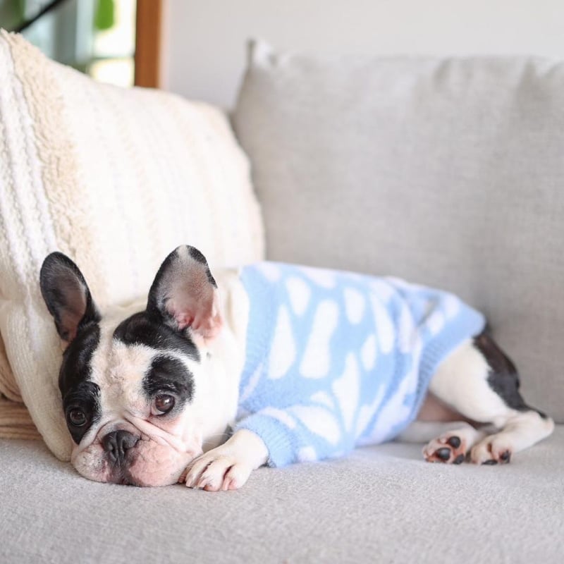 Pups & Bubs] ふわもこニット ブルー/ピンク | モフモフ mof_mof｜北