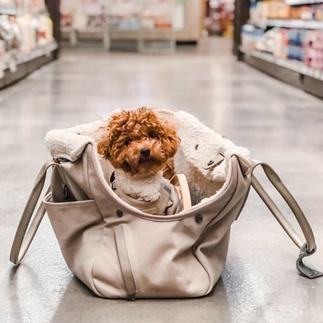 [max-bone] City キャリー グレージュ