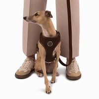 [MR WOOF]  メッシュハーネス 6色