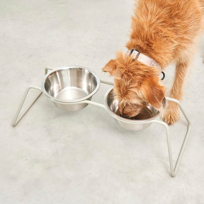 わんちゃんとセレブリティなひとときを♡ハンドメイド　カフェマット　アクアグレイ てらおかなつみコラボ】カフェマット GRH110 :レディース ドッグ