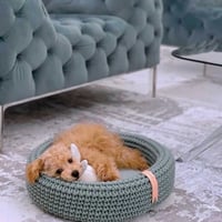 [Labbvenn] COCO Cat Bed スモーキーグリーン
