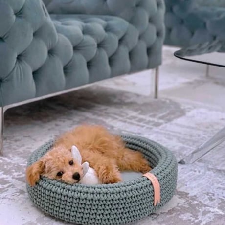 [Labbvenn] COCO Cat Bed スモーキーグリーン