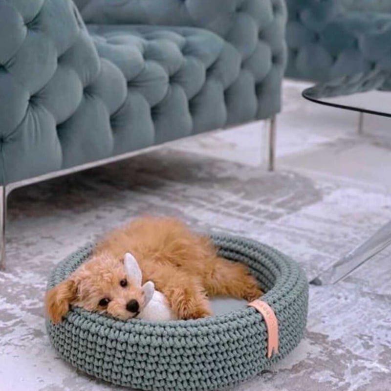 CATEGORY Labbvenn | モフモフ mof_mof｜北欧デザインのペットグッズ