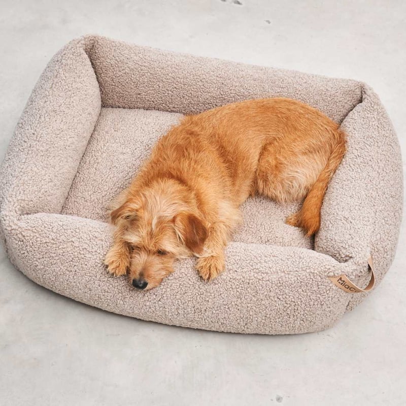 CATEGORY 北欧インテリア | モフモフ mof_mof｜北欧デザインのペットグッズ