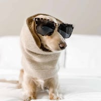[woolwag]  カシミア スヌード ４色