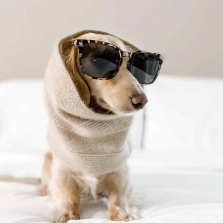 [woolwag]  カシミア スヌード ４色