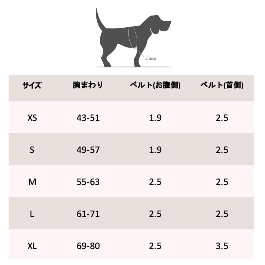 6061a6931e746b6b7a004e10