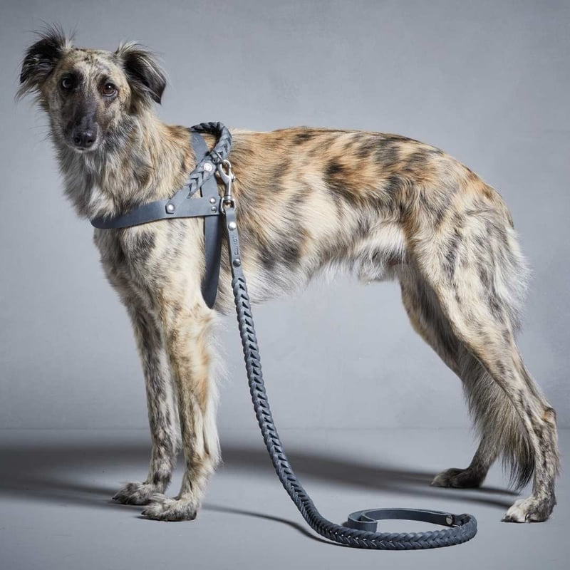 CATEGORY Cloud7 | モフモフ mof_mof｜北欧デザインのペットグッズ