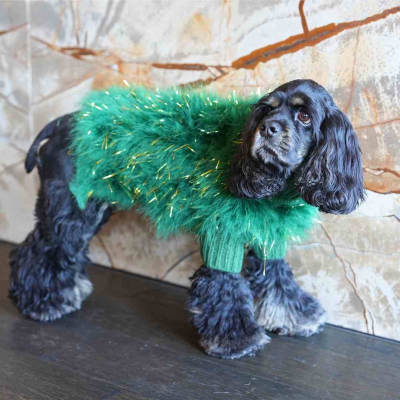 max-bone] Christian Cowan キラキラニット レッド/グリーン | モ