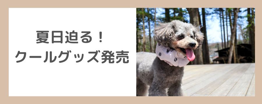 ❤お洒落な北欧デザインの持ち運べるペットハウス♪❤ペットに不快感を与えない❣ ❤お洒落な北欧デザインの持ち運べるペットハウス♪❤ペットに不