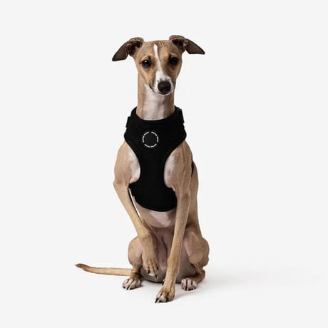 [MR WOOF]  メッシュハーネス 6色