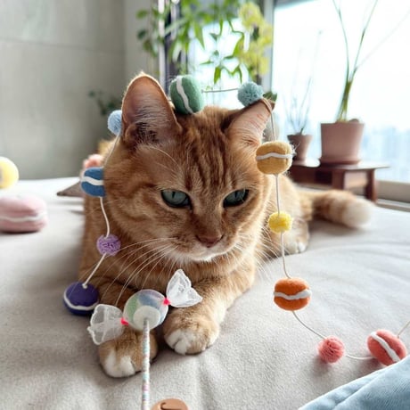 [WET NOSE] キャットトイ ミニマカロン