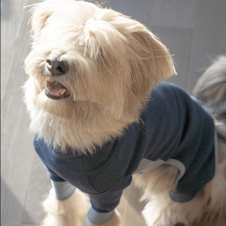 [furryfolks]  High Neck Jumpsuit ネイビー (XSラスト１点）