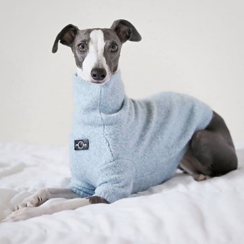 ☆スコットクラブ☆vinふわモコベスト꒰꒰*∩ω∩*꒱꒱ アストロキャット ウォークインスペース｜ウォッシャブルジャ