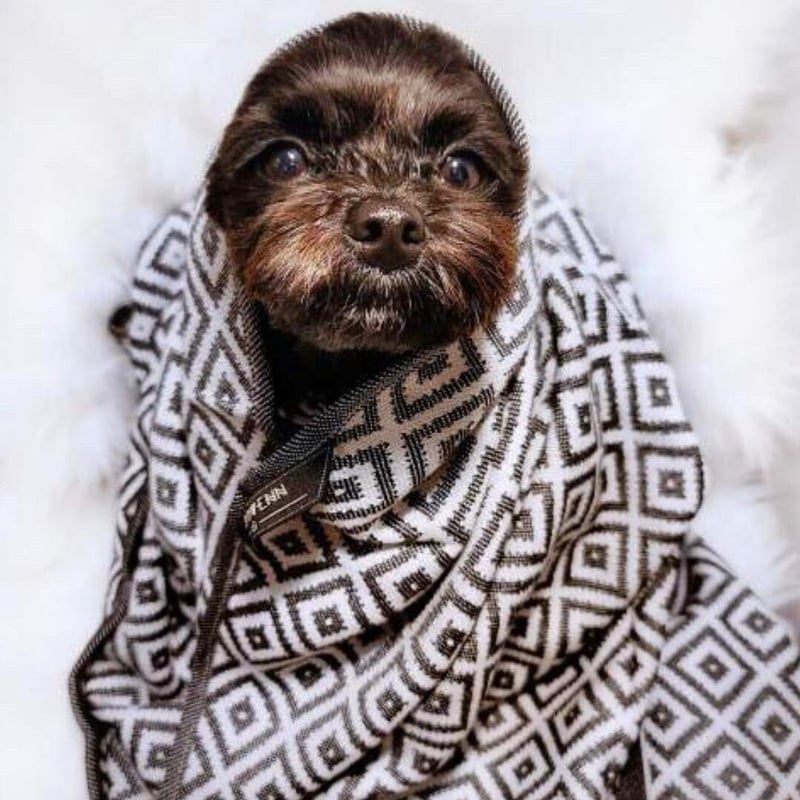 Labbvenn] タオルブランケット 大判 | モフモフ mof_mof｜北欧デザイン