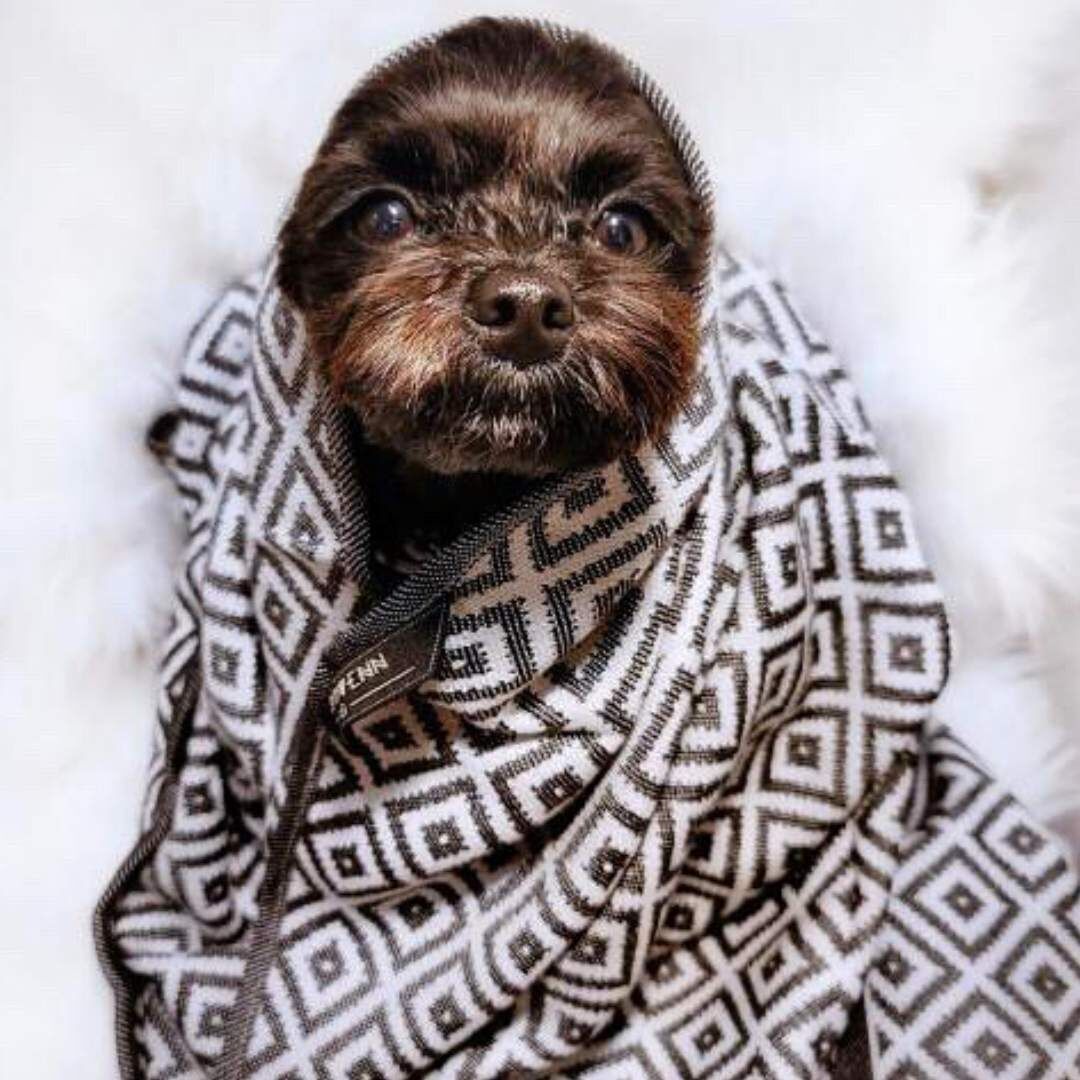 Labbvenn] タオルブランケット 大判 (2/12から値上げ） | モフモフ mof_