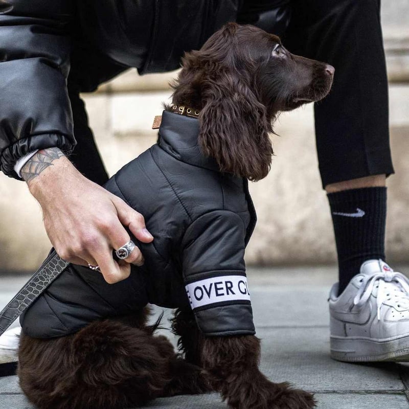 最終値下げ‼ UK ヴィンテージ 高デザイン黒 オオカミファー モッズ 300 最終値下げ‼ UK ヴィンテージ 高デザイン黒 ストア オオカミファー