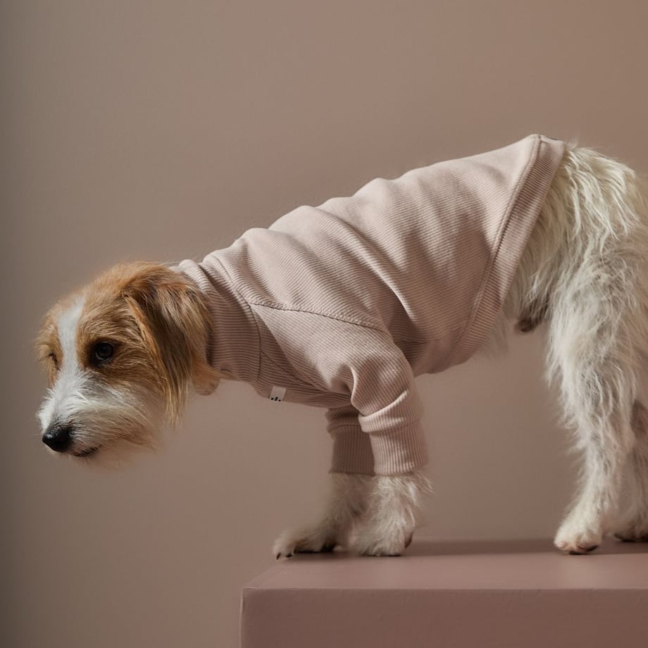69a7cef026307616cbde2c6f