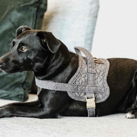 [Kentucky Dogwear]ソフトボディーハーネス Beige/Blue/Charcoal/Pink