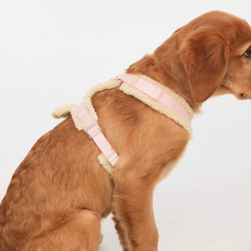 FURLOU] シェルパ Y型ハーネス ベージュ/ピンク/ブラック/ローズ