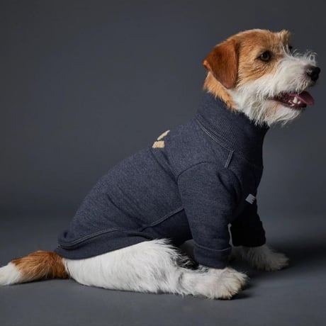 [Striped Dog]  スウェット  クリーム/ブルーグレー