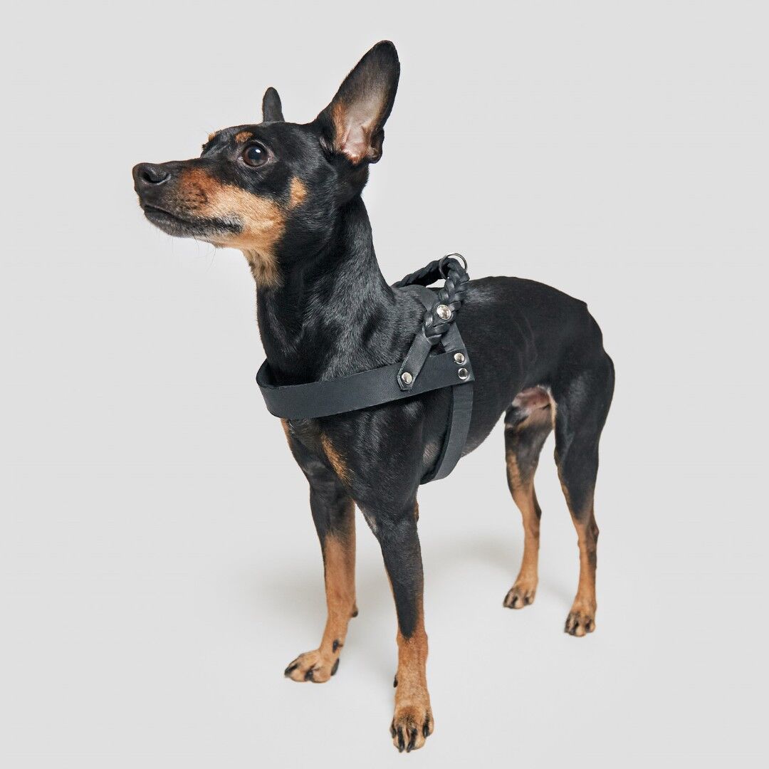 Cloud 7] レザー製 ハーネス ブラック | モフモフ mof_mof｜北欧