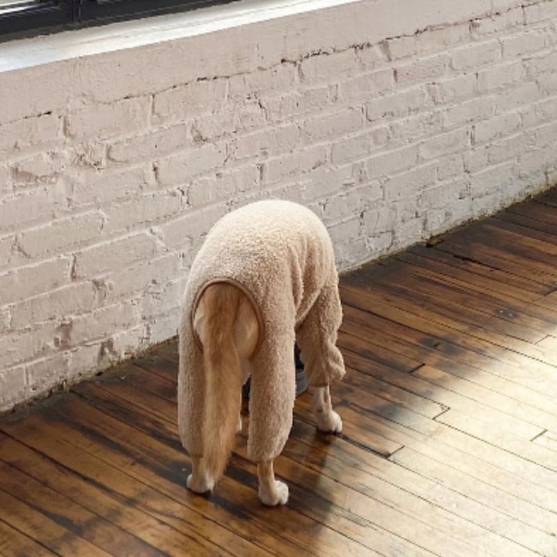 ブラウン ジャンプスーツ Lサイズ KOBE LETTUCE（神戸レタス） ウエストタックオールインワン レディース