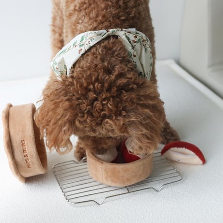 [Pups & Bubs]  アップルパイ ノーズワーク