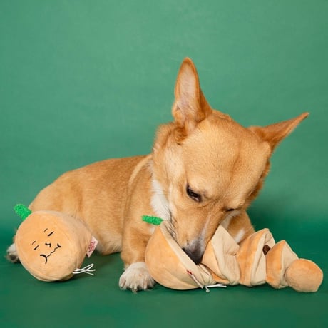 [furryfolks] 不機嫌なオニオン ノーズワーク