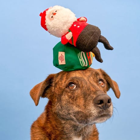 [furryfolks] サンタさん ノーズワーク（クリスマス限定）