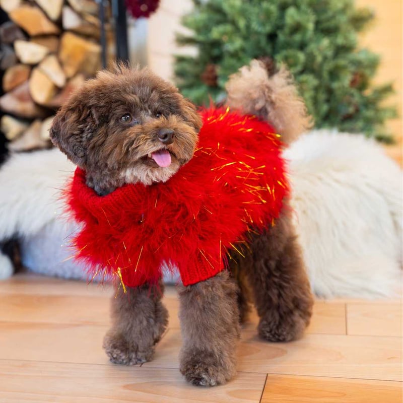 max-bone] Christian Cowan キラキラニット レッド/グリーン | モ