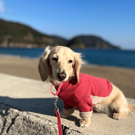 [furryfolks]  High Neck Tee ビンテージレッド/ライトグレー