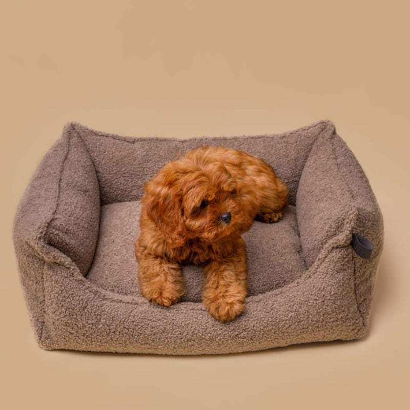 CATEGORY 北欧インテリア | モフモフ mof_mof｜北欧デザインのペットグッズ