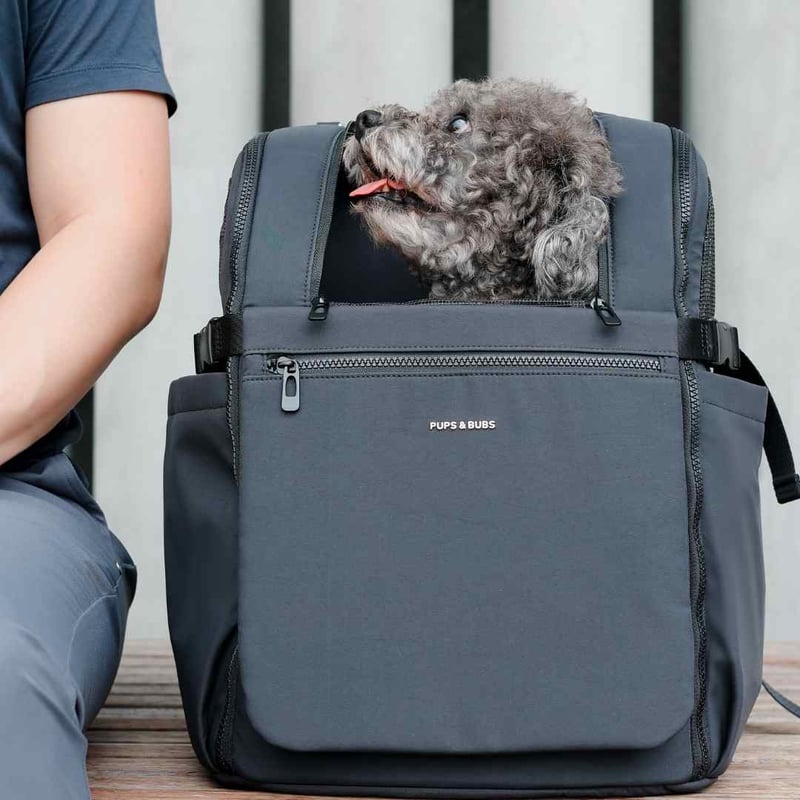 犬 キャリーバッグ 【正規品 PUPS&BUBS】 楽天市場】【10％OFFクーポン 楽天SS限定】 犬 キャリーバッグ