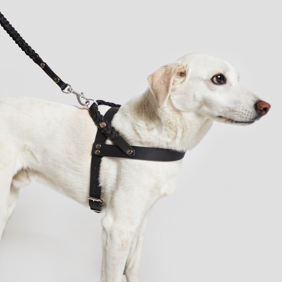 Cloud 7] レザー製 ハーネス ブラック | モフモフ mof_mof｜北欧