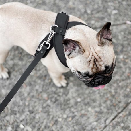 [Pups & Bubs]  セキュリティー ハーネス ベージュ/ブラック