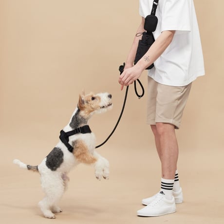 [Pups & Bubs]  Rover ハーネス ベージュ/ブラック
