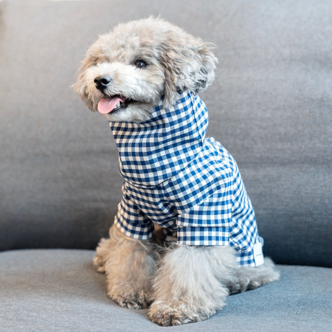 RAKU RAKU(M 小型犬用/ギンガムチェック) 楽天市場】【クリックポスト