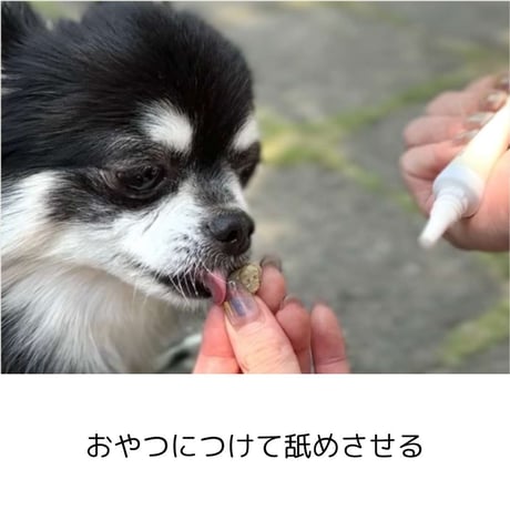 [nanowell] オーラルケア for DOG / for CAT
