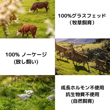 [ZIWI Peak] スチーム & ドライ ドッグフード チキン/ビーフ/ラム
