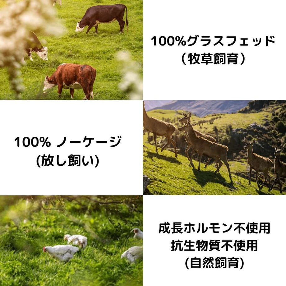 684267e8ba8c3d5c446ad879