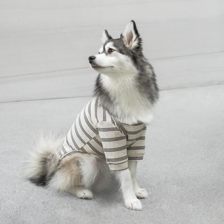 [lambwolf] ストレッチコットン Tシャツ ストライプ