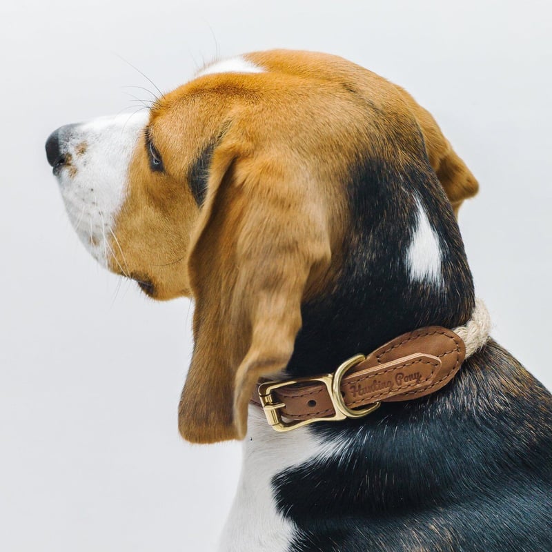 犬用の本革ハーネス おしゃれで可愛いレザーハーネス 小型犬に人気の