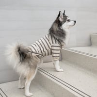 [lambwolf] ストレッチコットン Tシャツ ストライプ