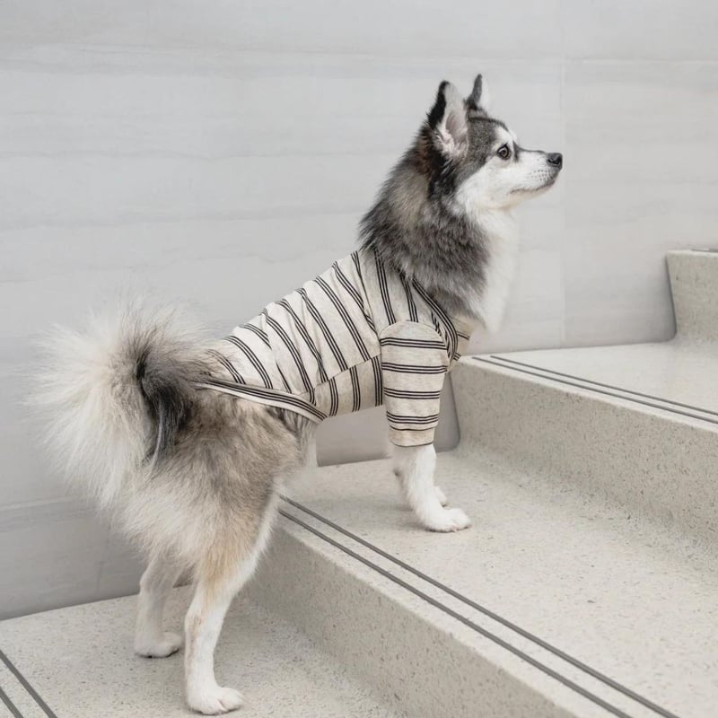 羊モフモフトレーナー 羊モフモフトレーナー